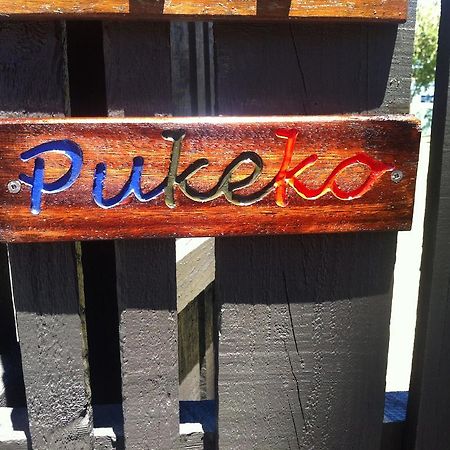 Pukeko On Bay Apartman Tauranga Kültér fotó